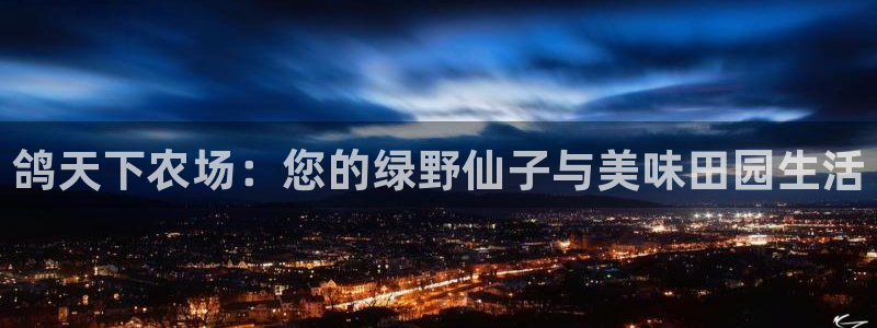 摩根娱乐官网
