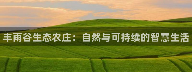 摩根娱乐宝是什么