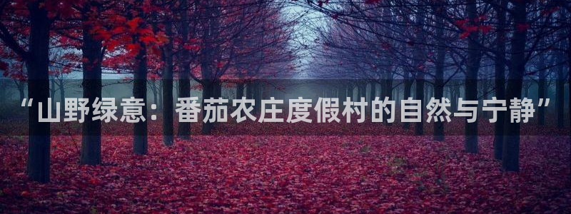 重生娱乐美日混血摩根