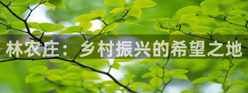 摩根娱乐平台注册