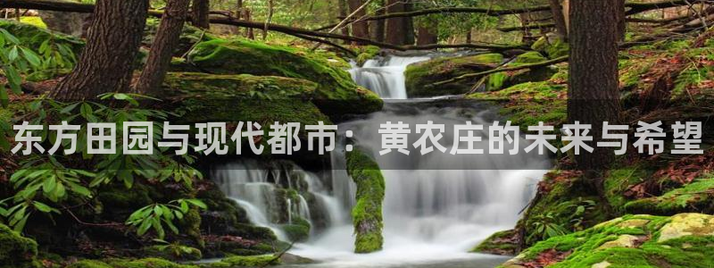 摩根娱乐宝在哪里登录