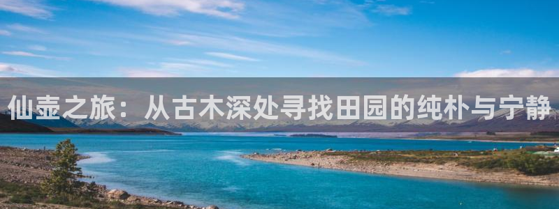 摩根100娱乐会所