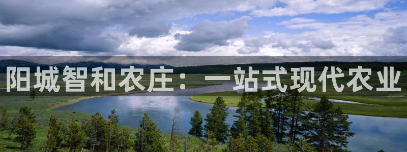 摩根娱乐 1老j板50820