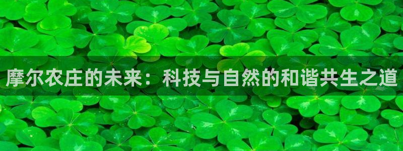 摩根娱乐宝怎么样