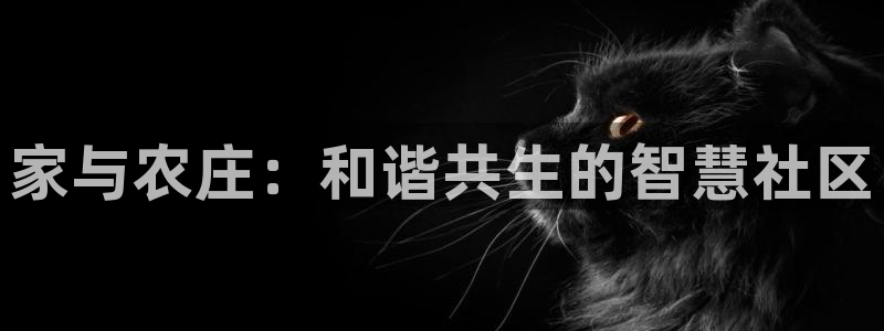 摩根娱乐宝官网百度