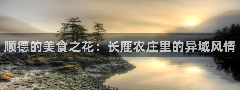 摩根娱乐宝骗了多少人