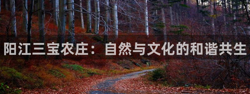 重生娱乐美日混血摩根