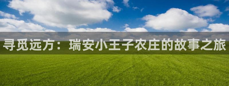 摩根合约娱乐宝