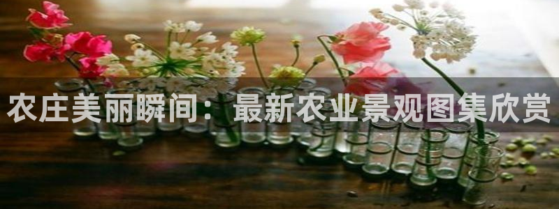 摩根娱乐开户总s管50015 18