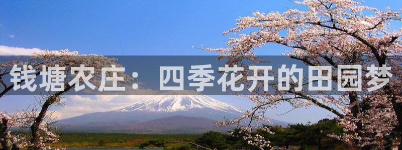 摩根合约娱乐宝