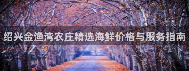 摩根娱乐是什么模式