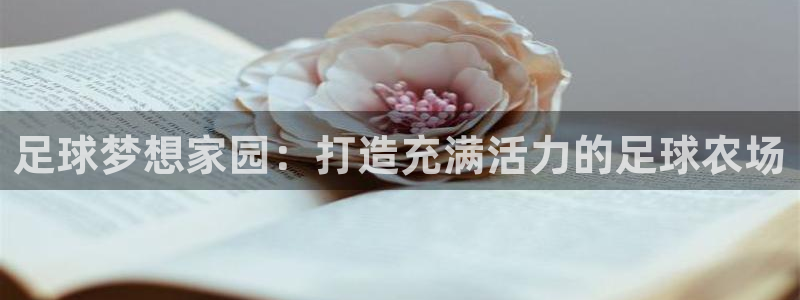 摩根娱乐L老L板50820