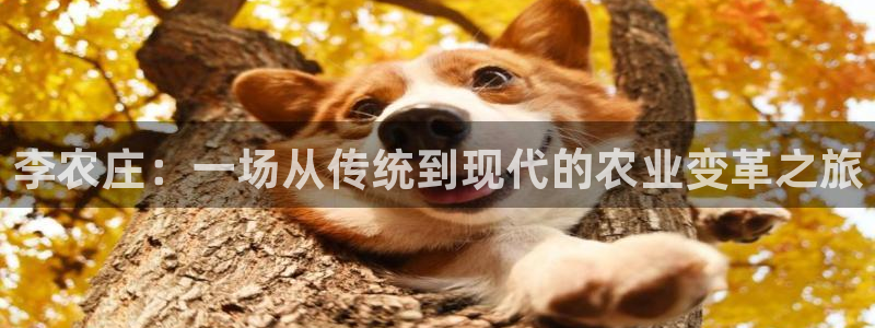 摩根娱乐注册章7O777