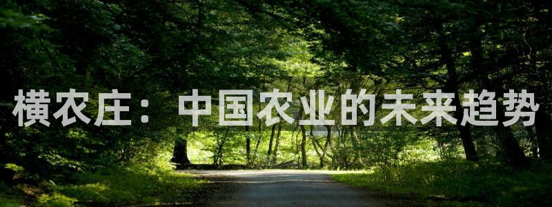 摩根娱乐 1老j板50820