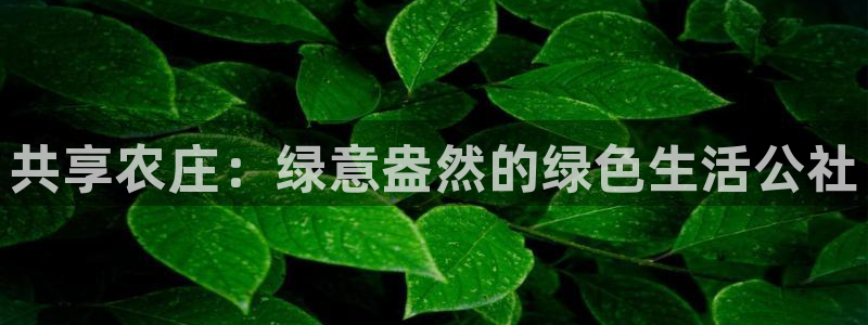 摩根娱乐宝如何提现