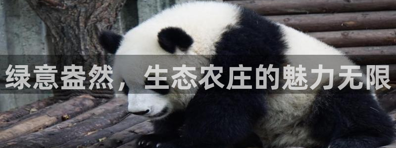 摩根娱乐宝怎么赚钱的