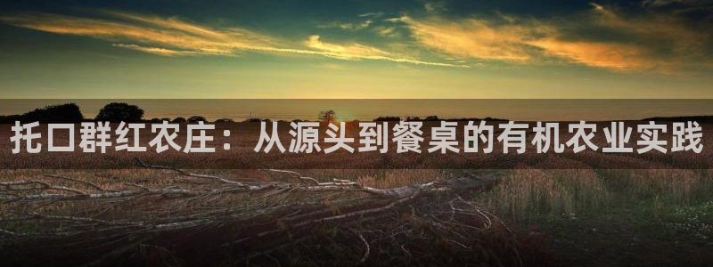 摩根娱乐宝机构代码