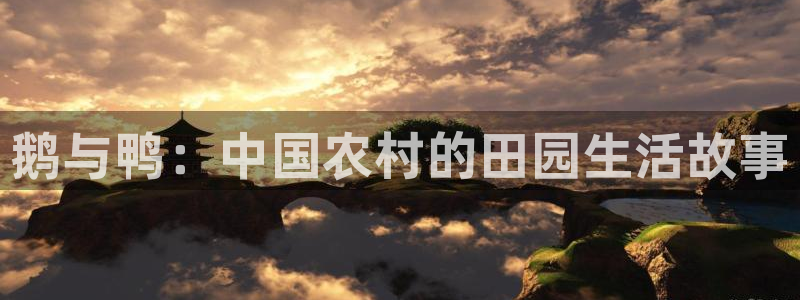 摩根娱乐宝官网