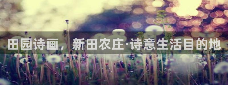 摩根娱乐宝怎么提现