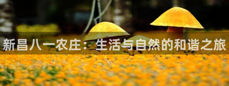 摩根空间附近休闲娱乐