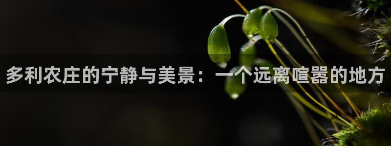 长春拉图摩根娱乐