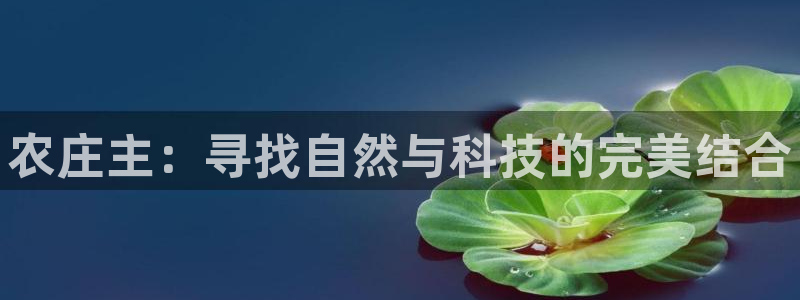 摩根娱乐宝诈骗