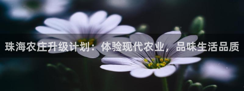 摩根娱乐 F招D商98732