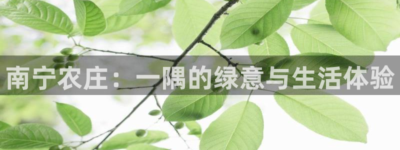 摩根娱乐宝总部招商