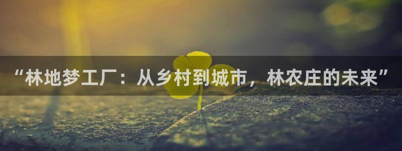 摩根娱乐宝创始人