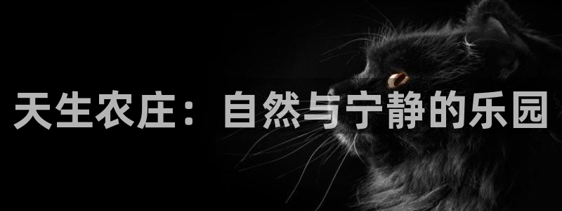 泉州摩根会娱乐邮箱