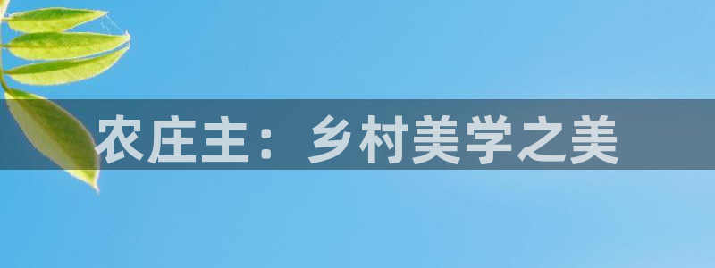 摩根娱乐宝机构代码