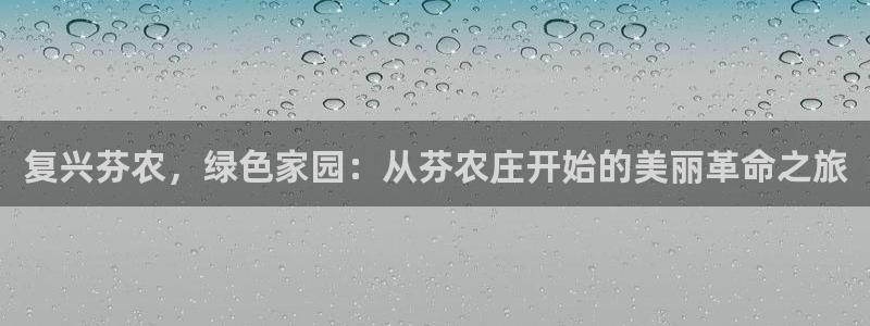 摩根娱乐公会创始人
