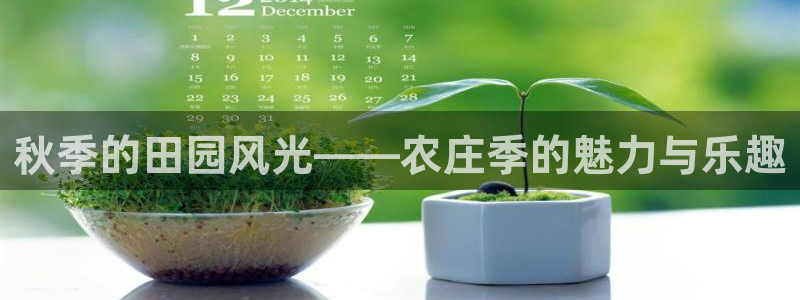 摩根娱乐注册平台