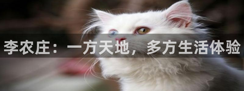 摩根娱乐宝杀单吗