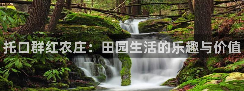 深圳摩根时代娱乐公司