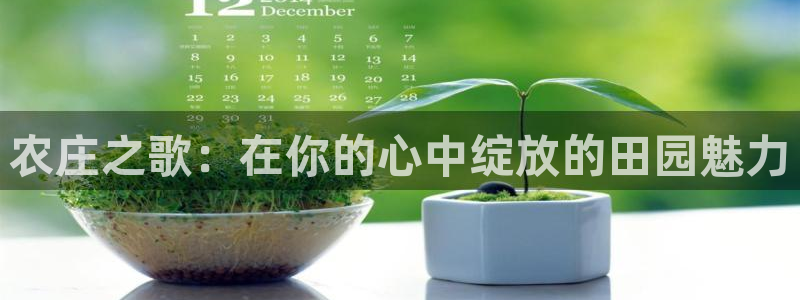 摩根国际娱乐会所电话