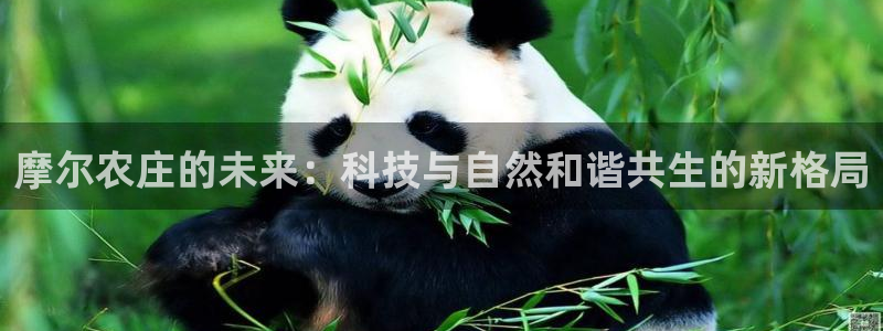 义乌市摩根娱乐会所招聘