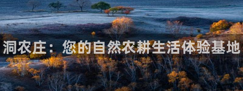 摩根娱乐宝招商