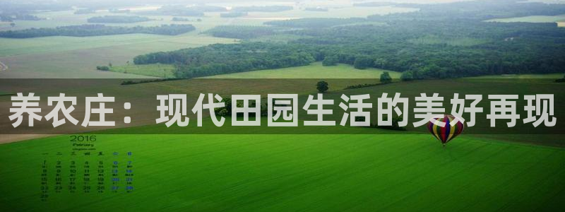 摩根娱乐宝怎么赚钱