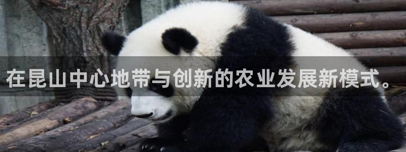 摩根国际 亚太 娱乐宝