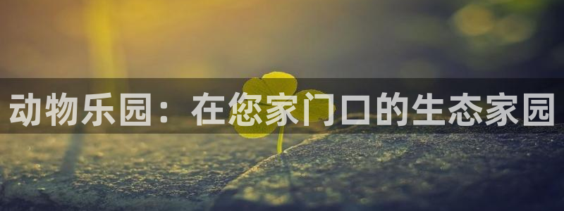 摩根娱乐50186叩