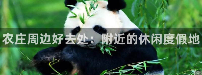 摩根娱乐彩票最忌三种东西