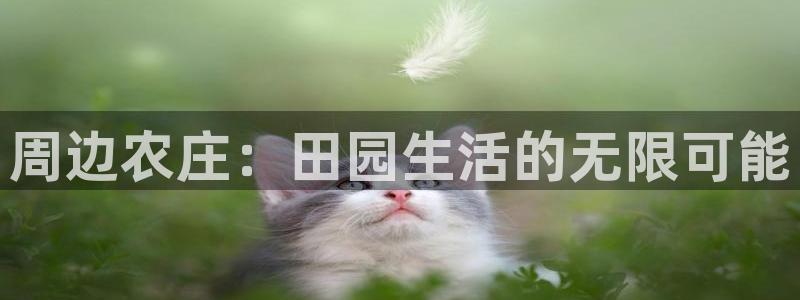 摩根娱乐宝正规吗