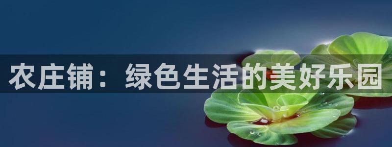 摩根国际娱乐宝