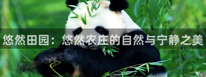 摩根娱乐挂机项目怎么样