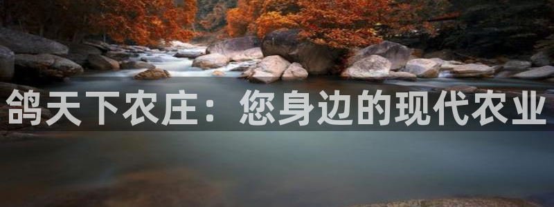 摩根国际娱乐宝官网下载