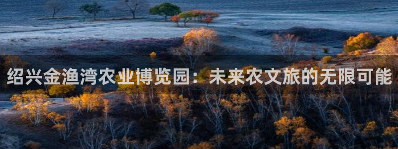 摩根娱乐宝打不开