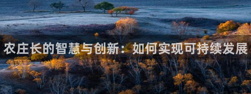 摩根娱乐50186加