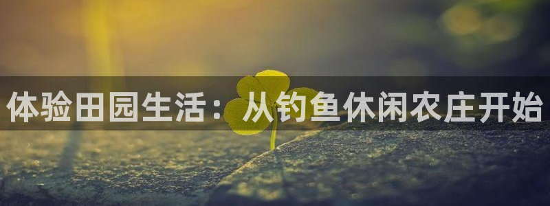 摩根娱乐宝官网