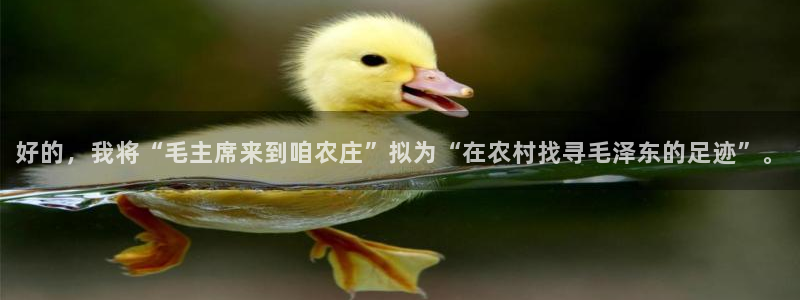 摩根100娱乐会所